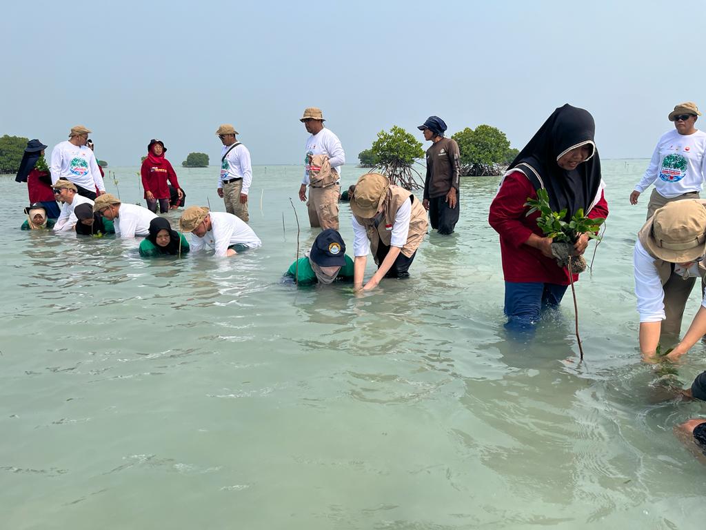 Proses penanaman mangrove di Pulau Pari oleh PetroChina International Jabung Ltd. bersama Kelompok Forum Peduli Pulau Pari.