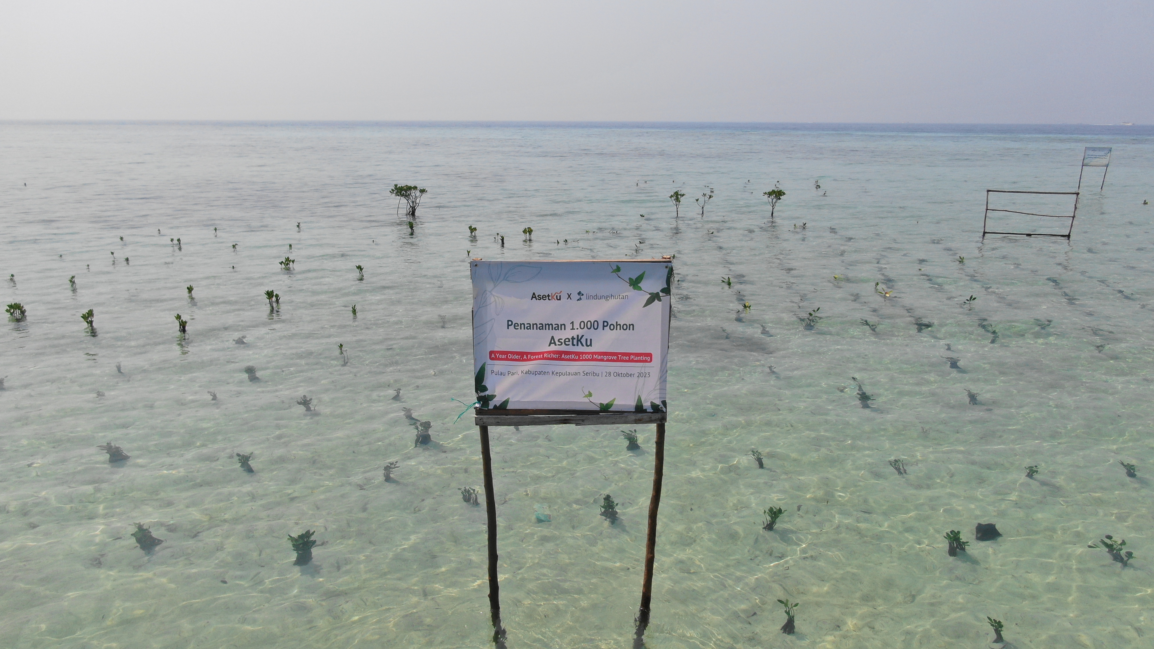 Lokasi penanaman mangrove di Pulau Pari (Dokumentasi: LindungiHutan).