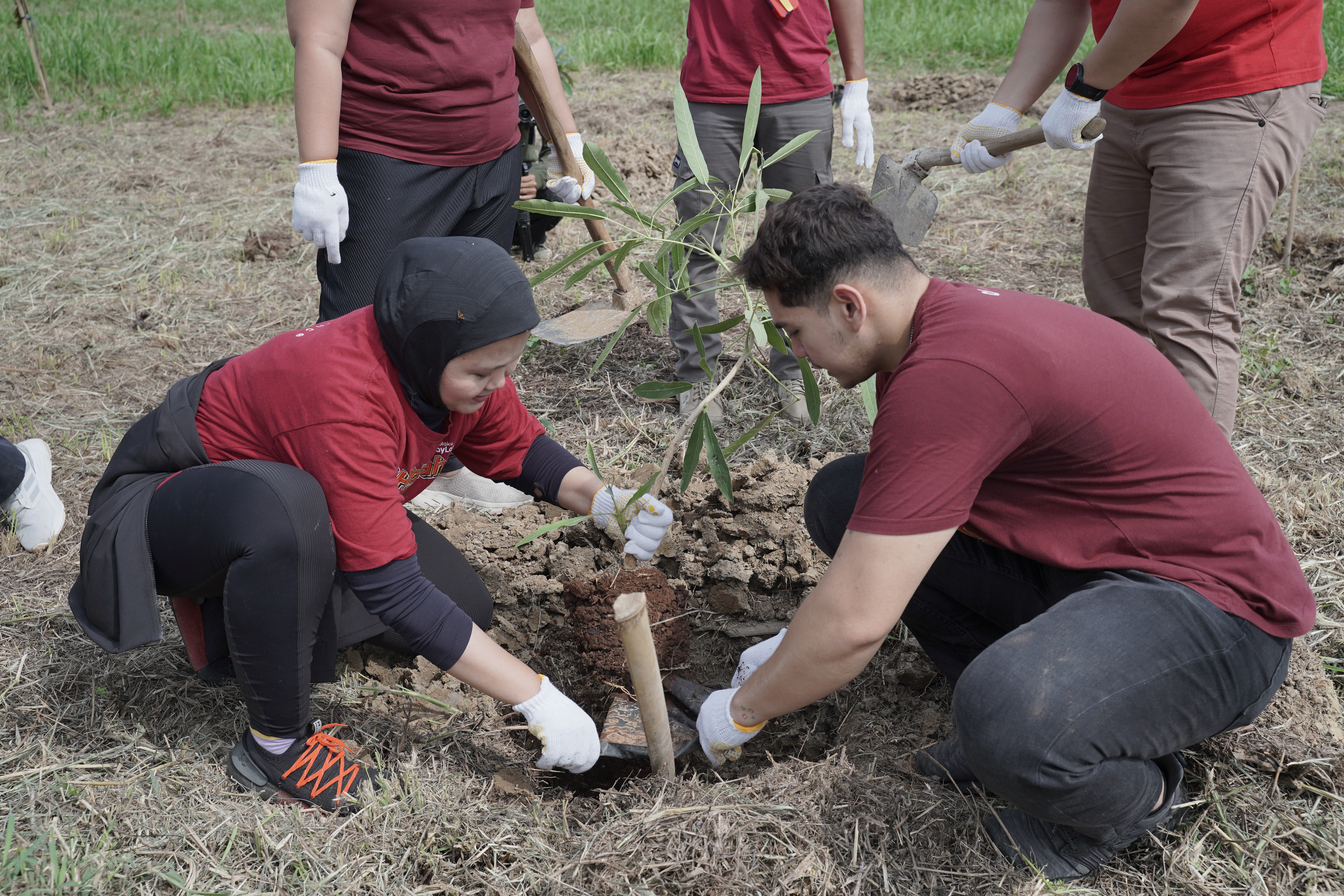 Aksi hijau perwakilan karyawan Akulaku Group di Hutan Kota Ujung Menteng (Dokumentasi: LindungiHutan).