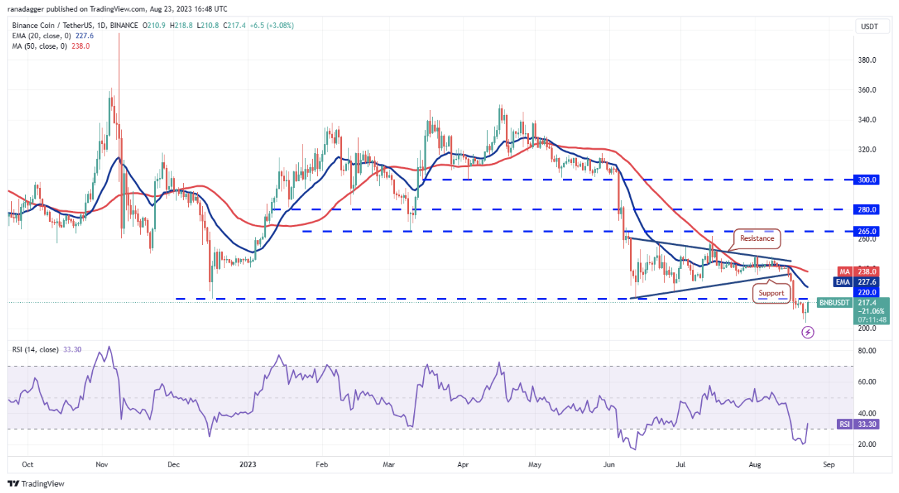 BNB/USDT daily chart. Source:TradingView 