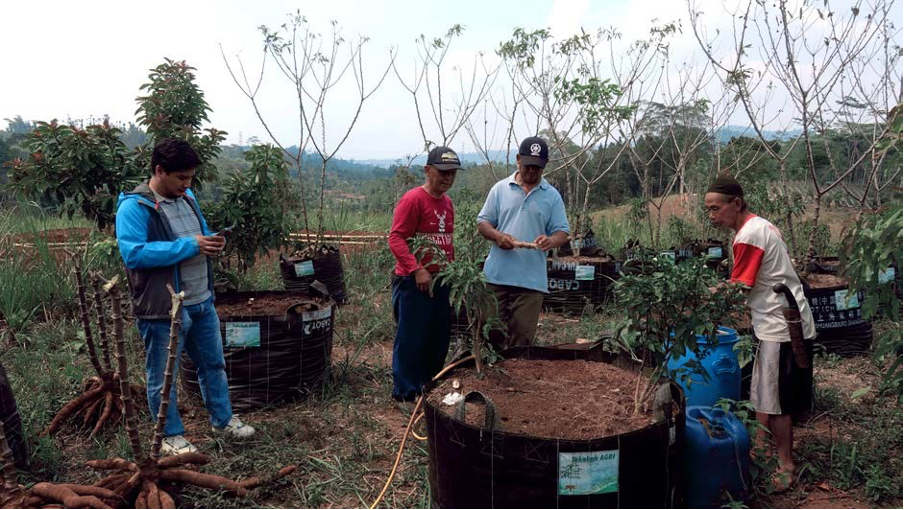 Sequestering biochar for agriculture use