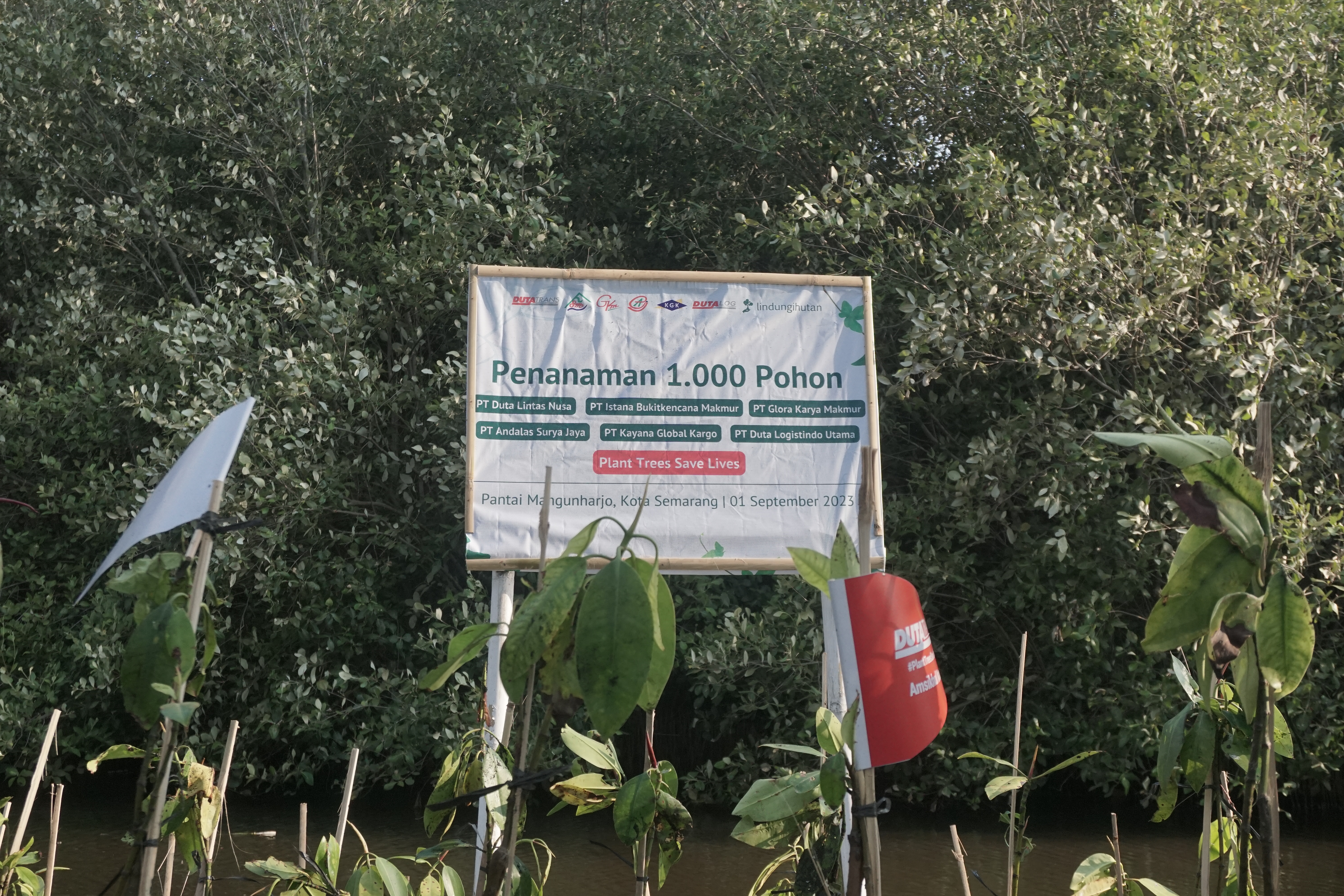 Prosesi penanaman 1.000 Mangrove oleh DUTATRANS Group dan LindungiHutan di Pantai Mangunharjo, Semarang.