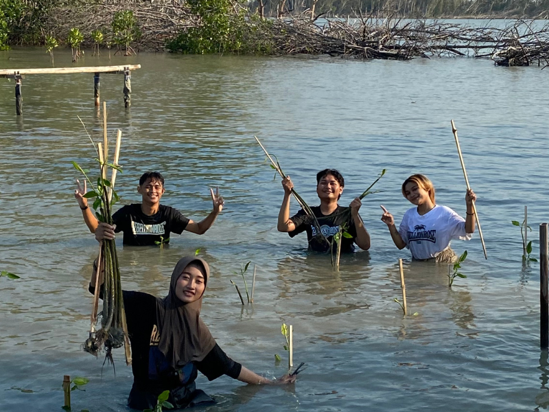 Comrades Indonesia terlibat dalam penanaman mangrove di Desa Bedono (Dokumentasi: LindungiHutan).