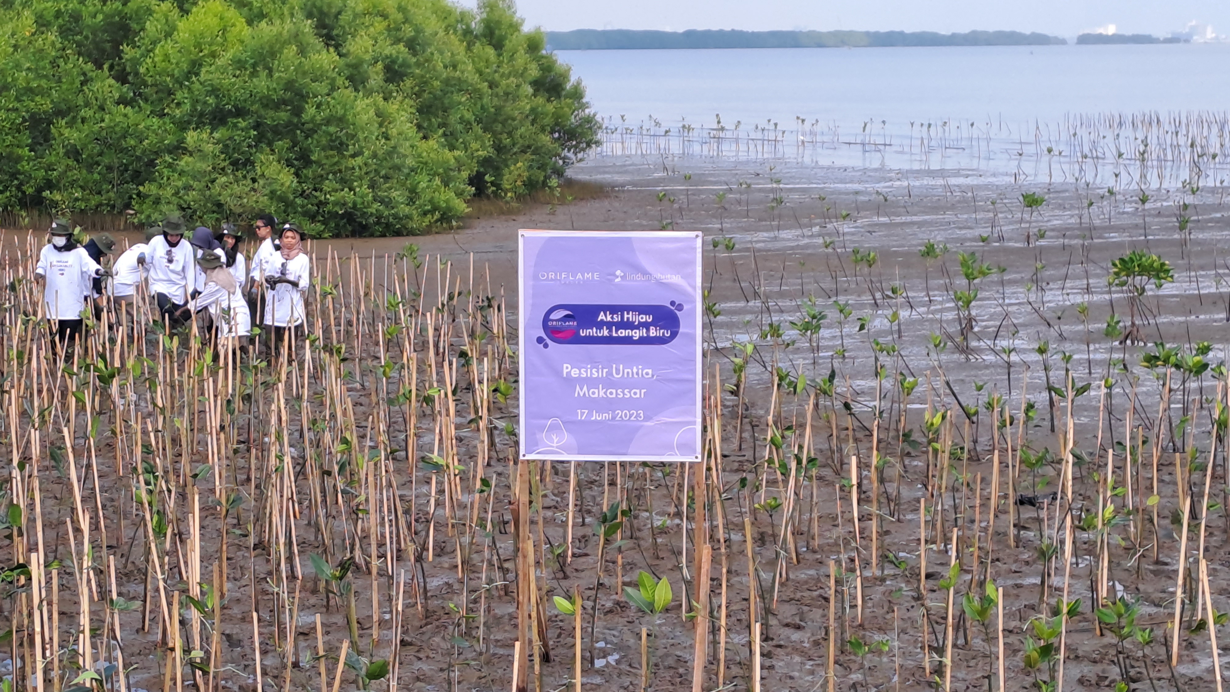 Area penanaman Mangrove di Pesisir Untia, Makassar