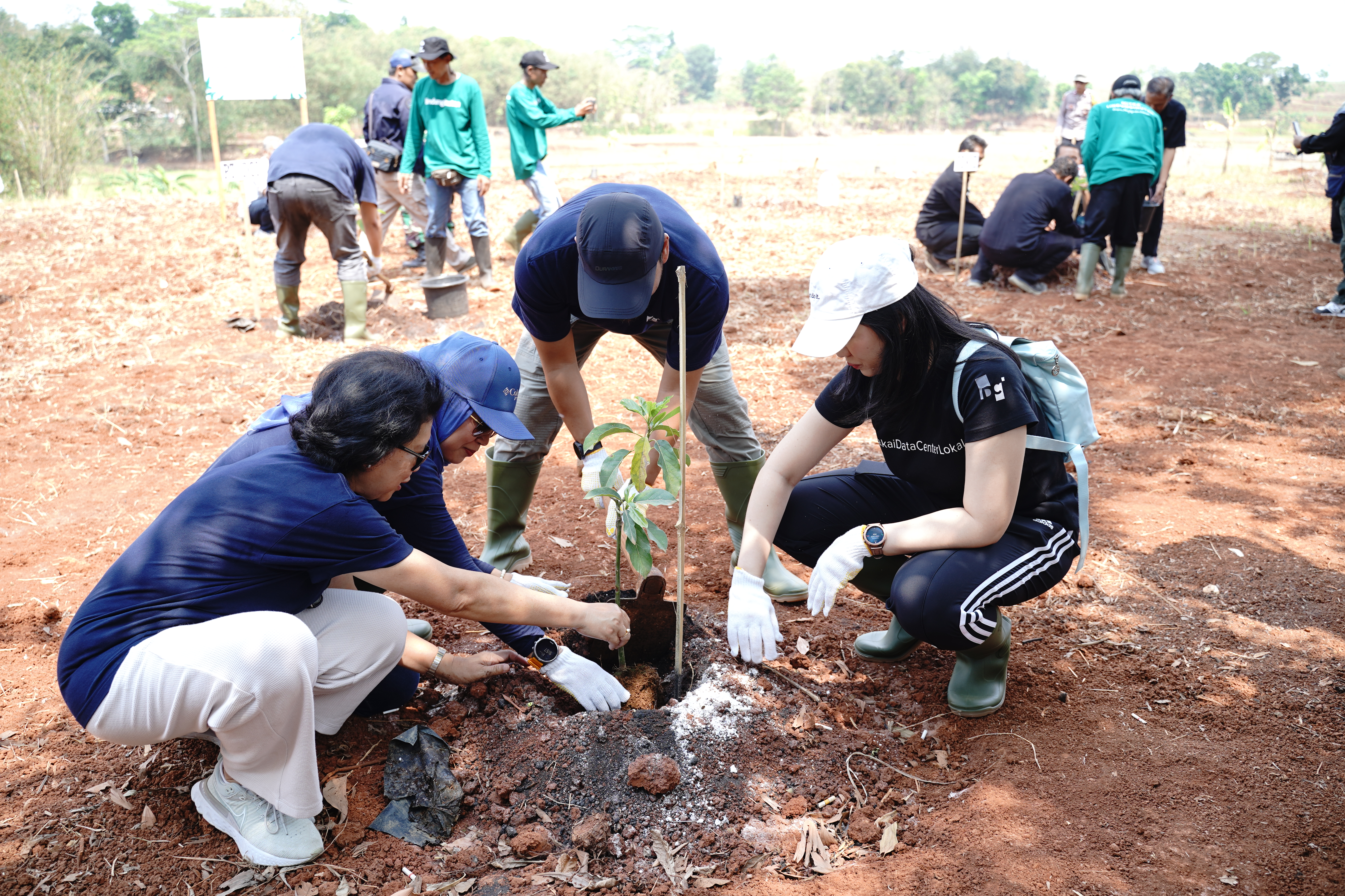 Proses penanaman pohon alpukat oleh rekan-rekan DCI Indonesia. (Dokumentasi: LindungiHutan).