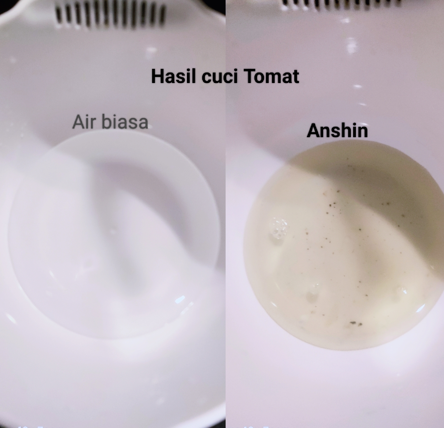 Hasil mencuci Tomat dengan Anshin