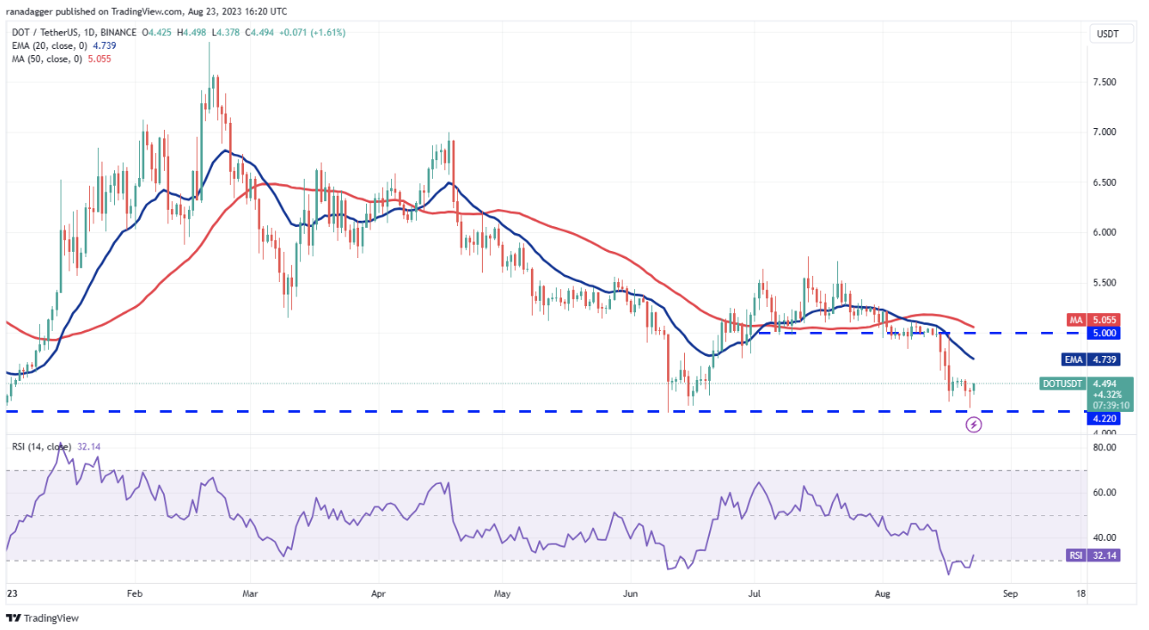 DOT/USDT daily chart. Source:TradingView