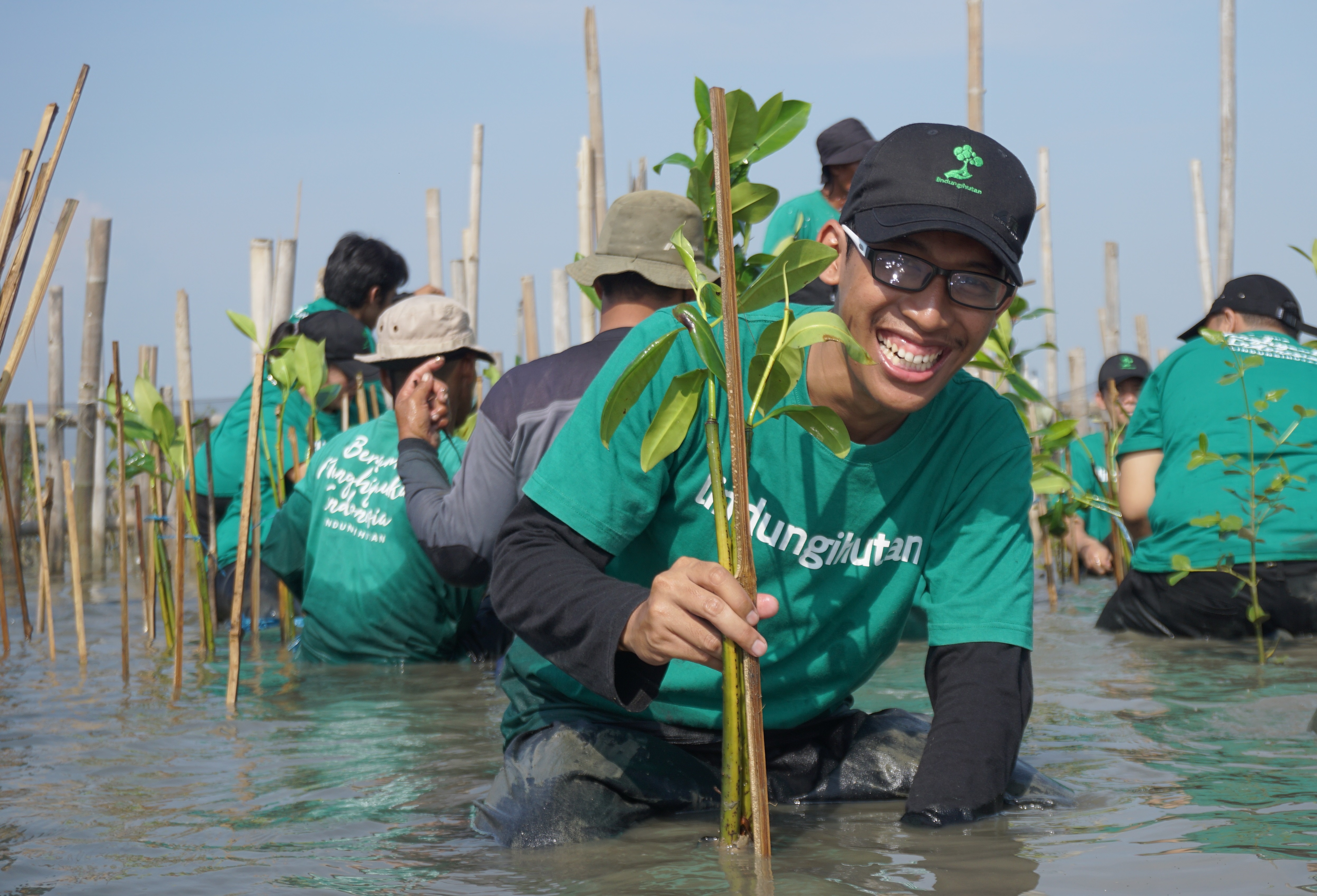 LindungiHutan menanam mangrove di Tambakrejo, Semarang. (Dokumentasi: LindungiHutan)