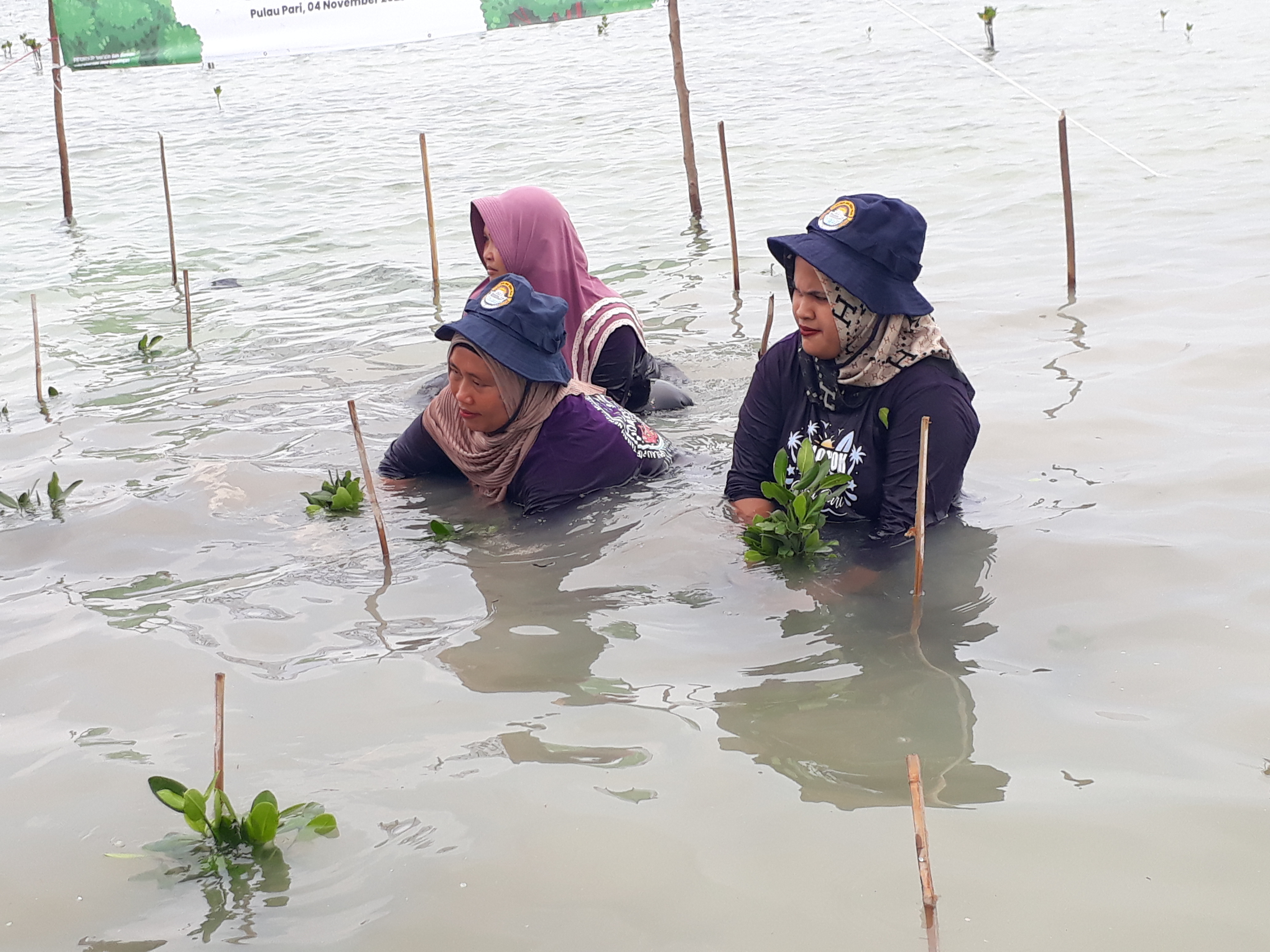 Foto penanaman mangrove Hijrahfest bersama Kelompok Forum Peduli Pulau Pari. (Dokumentasi: LindungiHutan)