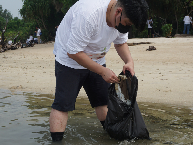 Aksi bersih sampah di wilayah pesisir (Dokumentasi: LindungiHutan).